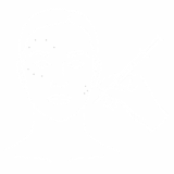 https://kerasiotis-plasticsurgeon.gr/wp-content/uploads/2025/06/botulinum-toxin-treatments-160x160.png